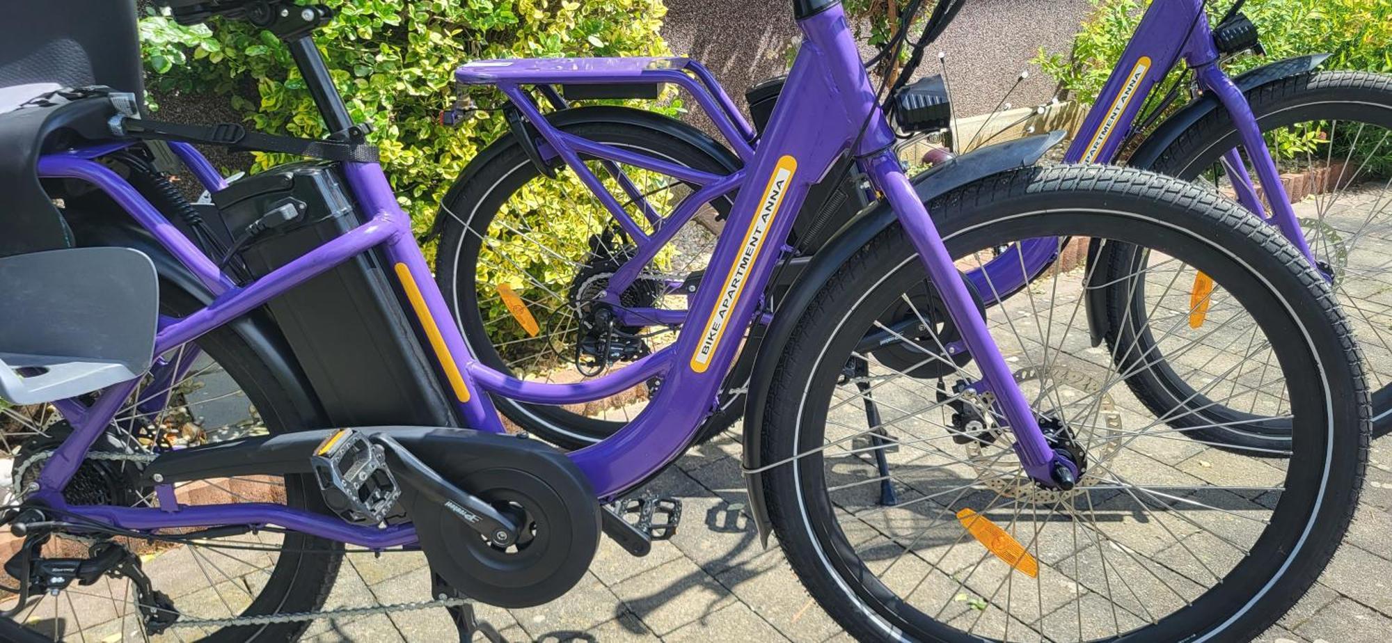 Zwei Schlafzimmer Ferienapartment Anna Am Stubenbergsee Inklusive Vier E-Bikes מראה חיצוני תמונה
